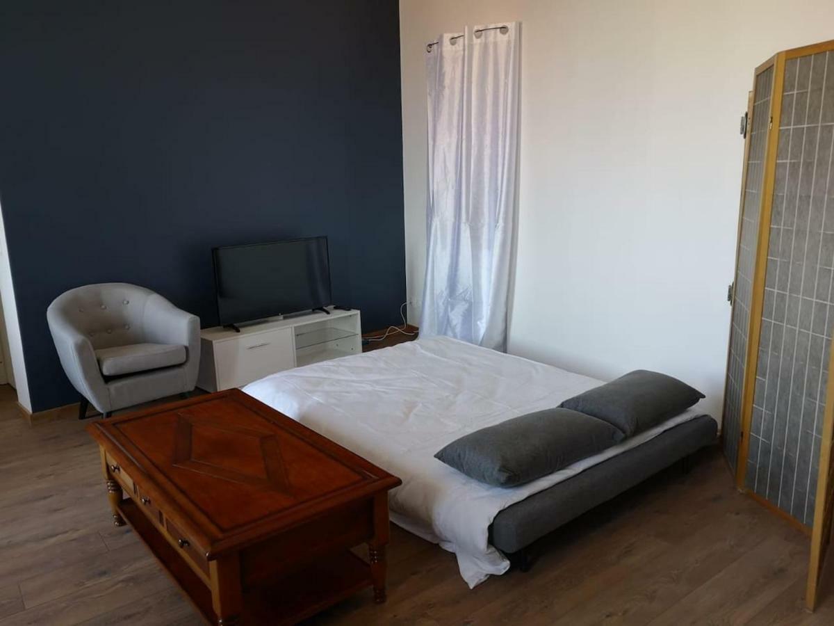 Appartement Spacieux Et Confortable La Roche-de-Glun Exterior foto